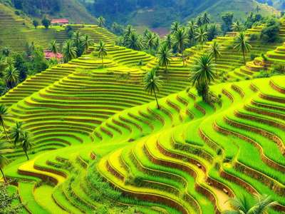 Bali Honeymoon Escape